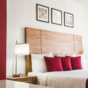 City Suite